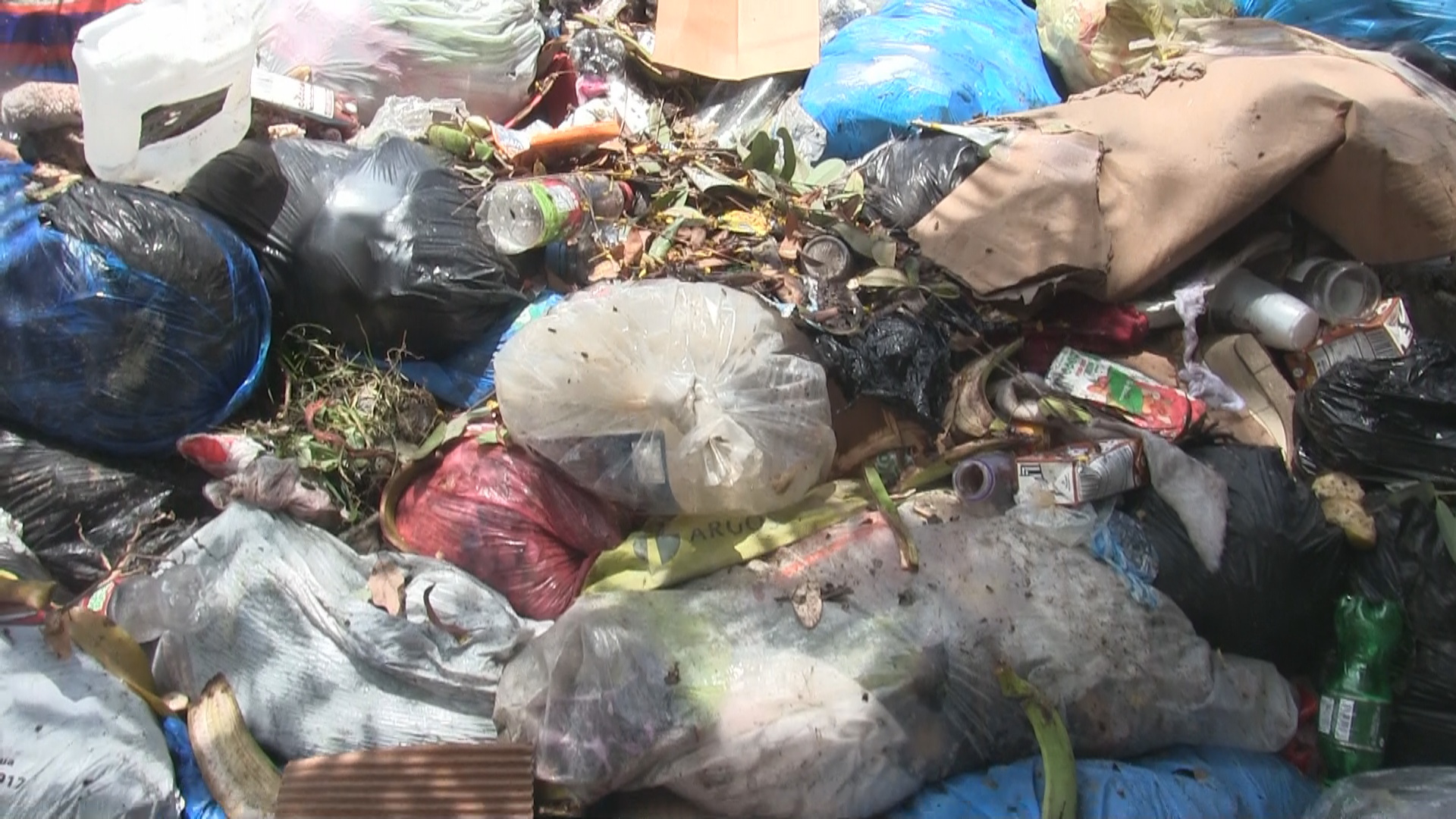 VIDEO: En Guayabal denuncian brotes de enfermedades por cúmulo de basura y culpan al Ministerio de Medio Ambiente