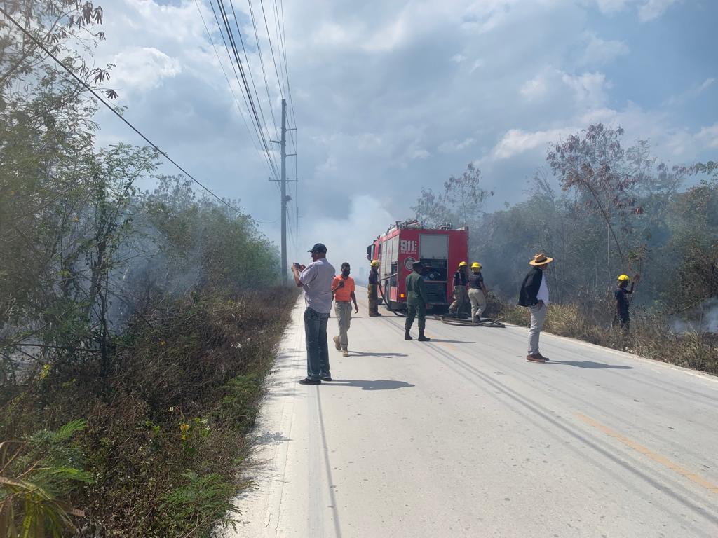 Proedemaren logra prisión preventiva contra nueve hombres por provocar incendio forestal en La Altagracia