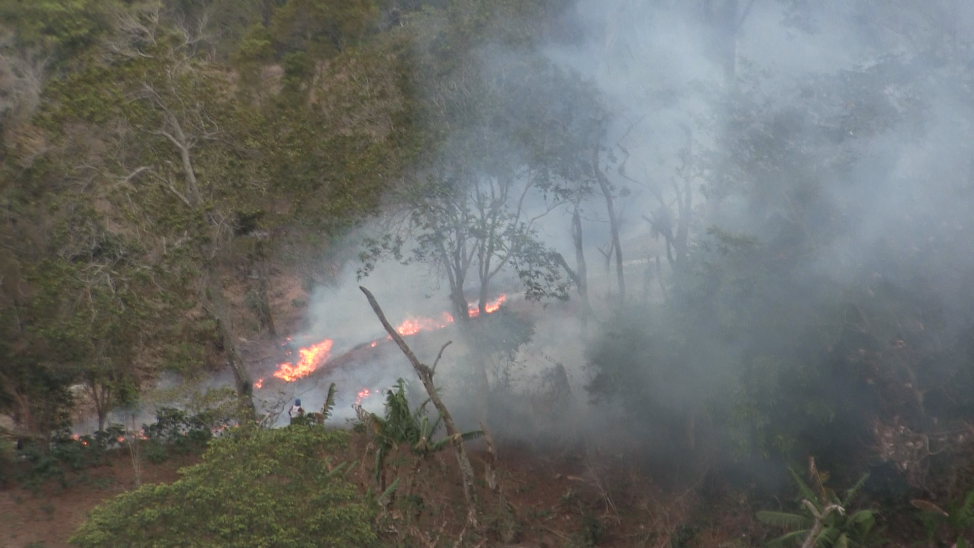 VIDEO: Incendios forestales en Azua, piden intervención Medio Ambiente
