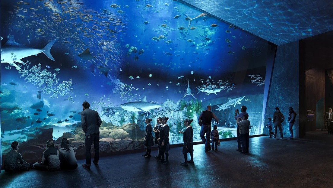 Inauguran el acuario más grande de América Latina