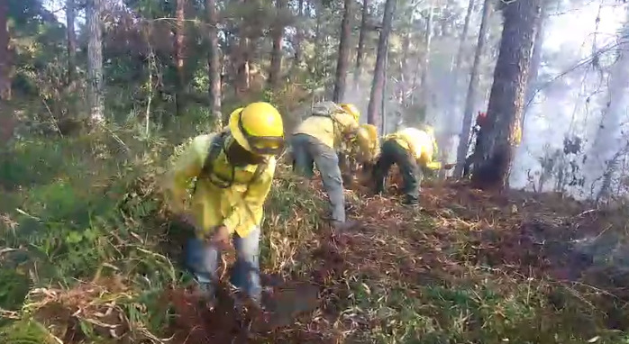 Bomberos forestales de medioambiente, sofocan incendio forestal en Constanza