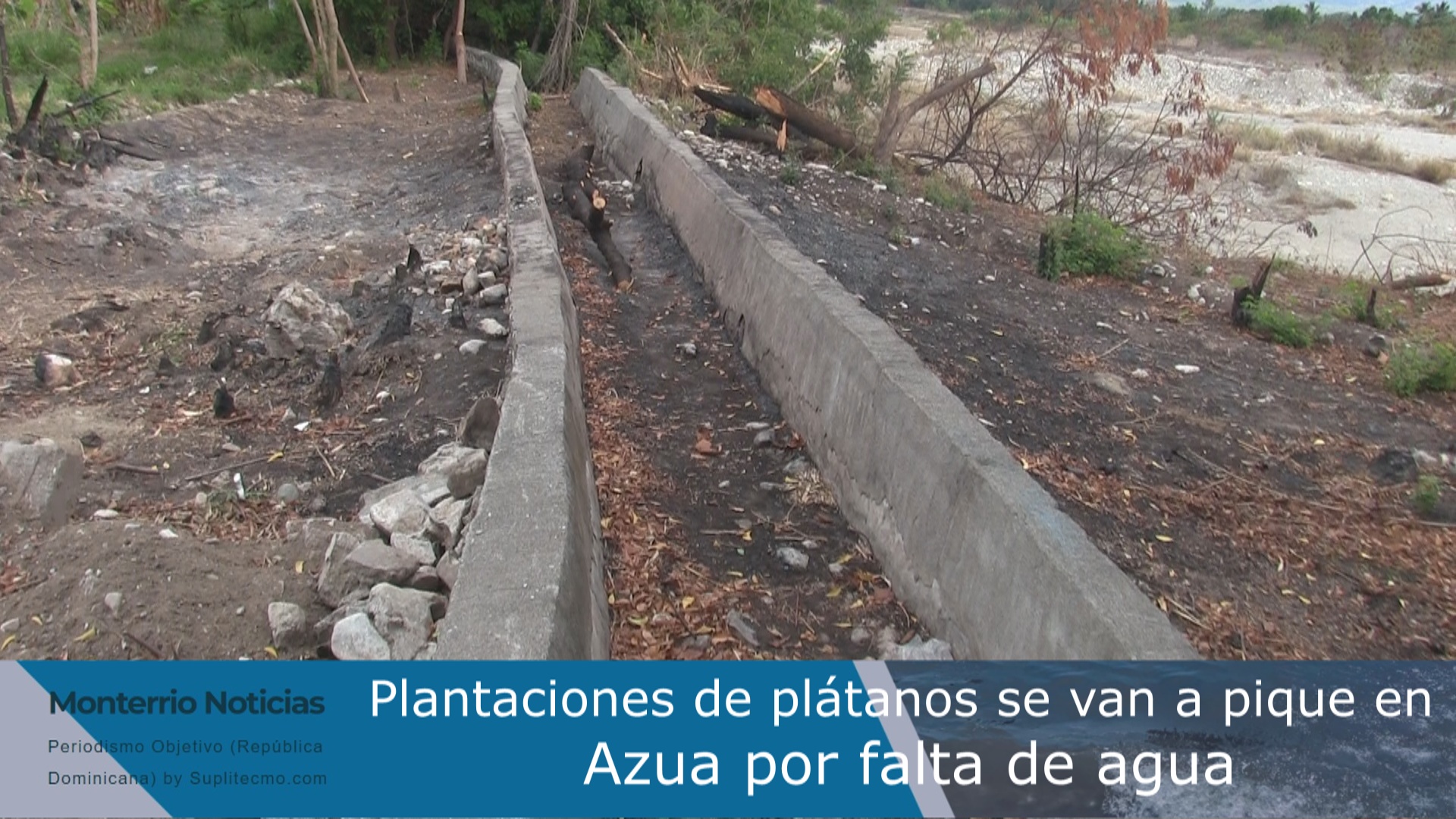 Plantaciones de plátanos se van a pique en Azua por falta de agua