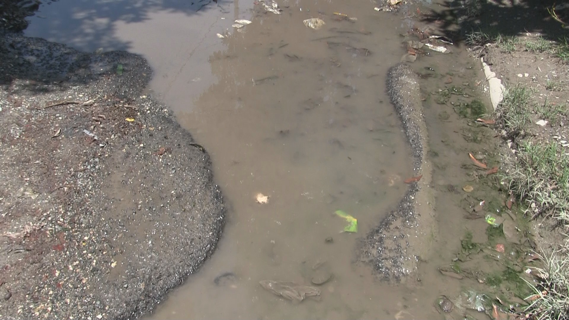 VIDEO: En Las Barias, Azua, director municipal dice encontró un distrito abandonado y vehículos chatarra