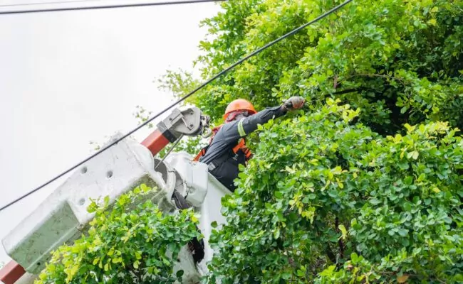 Edesur refuerza medidas circuitos eléctricos de Barahona, Pedernales, Neiba y Jimaní, por huracán Beryl