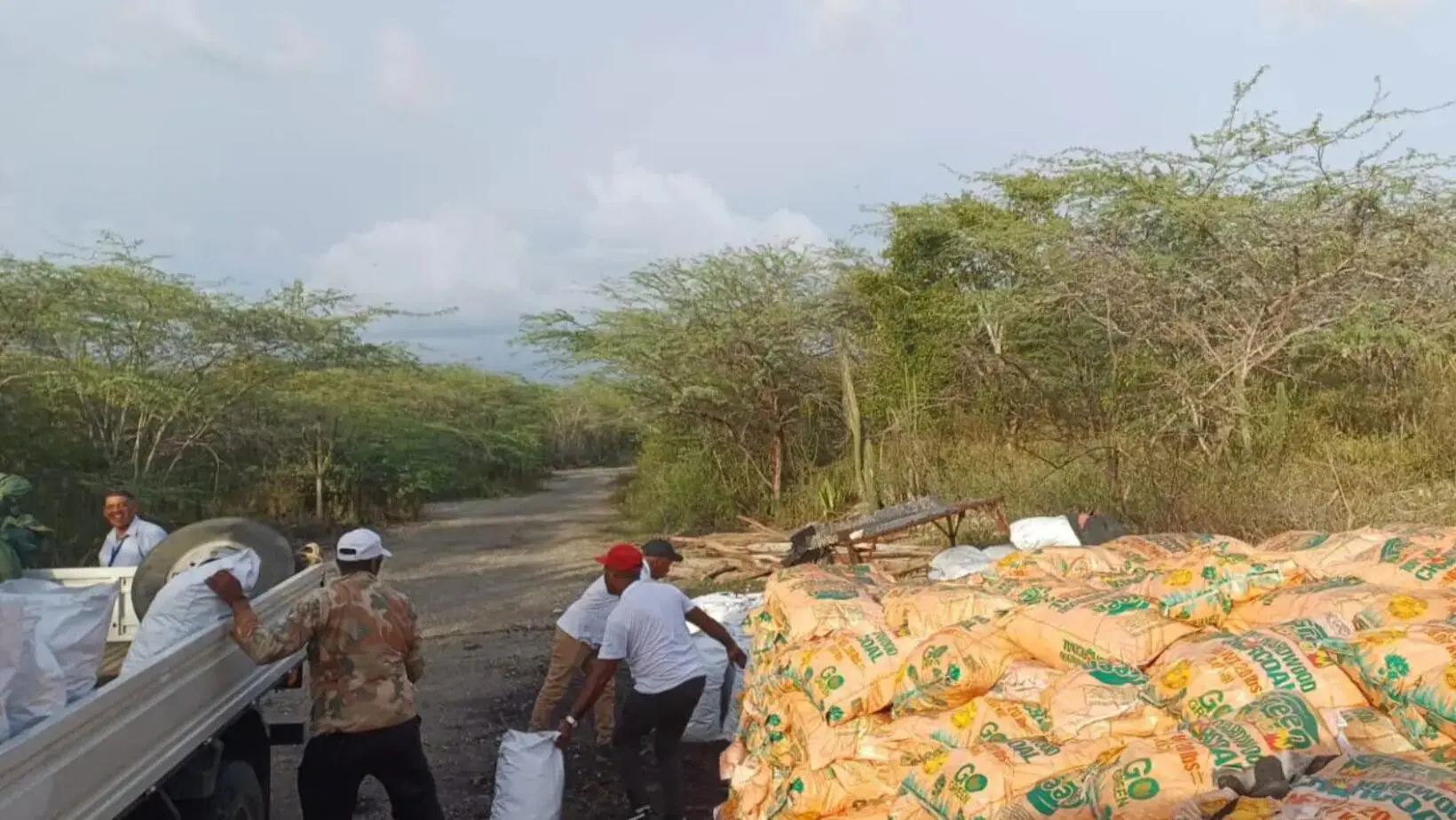 Senpa y Medio Ambiente incautan 1,200 sacos de carbón vegetal en Azua