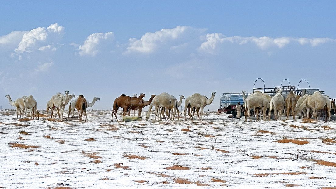 Desierto de Arabia Saudita registra la primera nevada de su historia