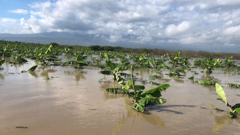 Huracán Melissa: Más de 4,000 evacuados y pérdidas millonarias en producción agrícola del Sur