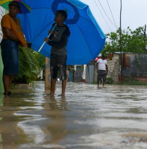 Se reportan 11 nuevos casos de leptospirosis en la última semana de octubre