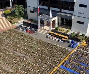 DNCD desmantela en San José de Ocoa una megasiembra de más de 15,000 plantas de marihuana
