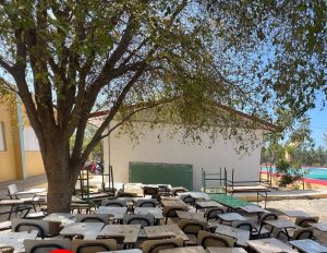 Estudiantes de Azua reciben clases debajo un árbol por falta de aulas en la escuela Nicolás Mañón